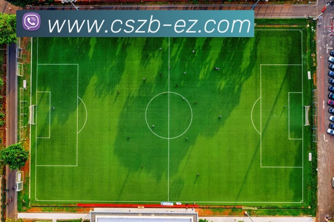 多媒体互动体验